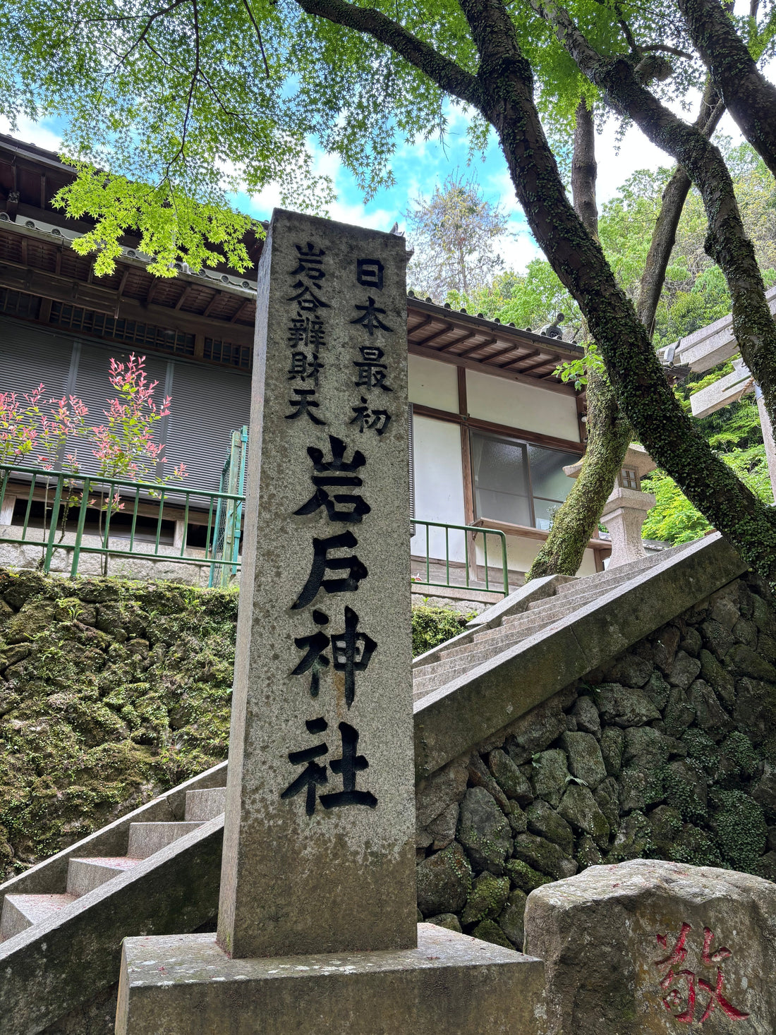 太陽の『だいたいひとさじ』 (26年6月1日) - えんらいと