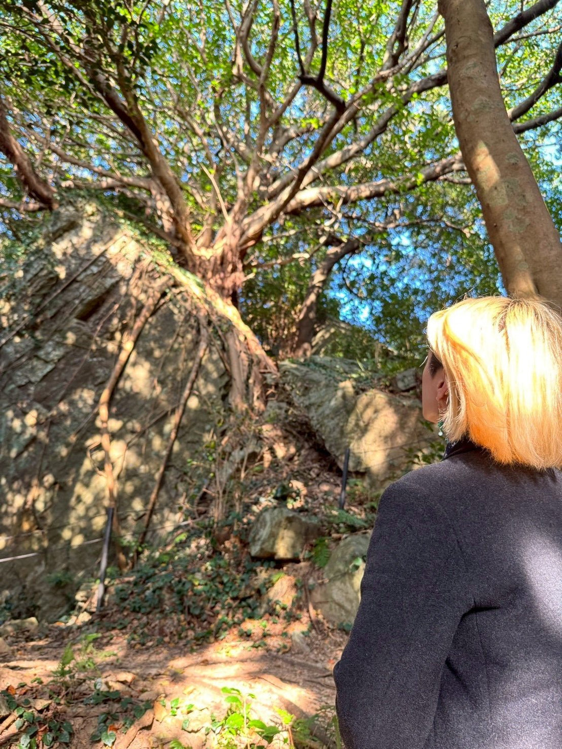 熊本取材旅行記その3(25年12月7〜8日) - えんらいと