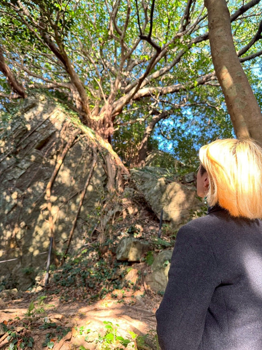 熊本取材旅行記その3(25年12月7〜8日) - えんらいと