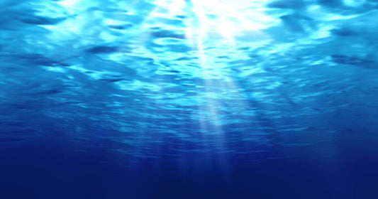 人は「命の海」を持っている – ルネ・カントン博士が残してくれた教えとは – - えんらいと