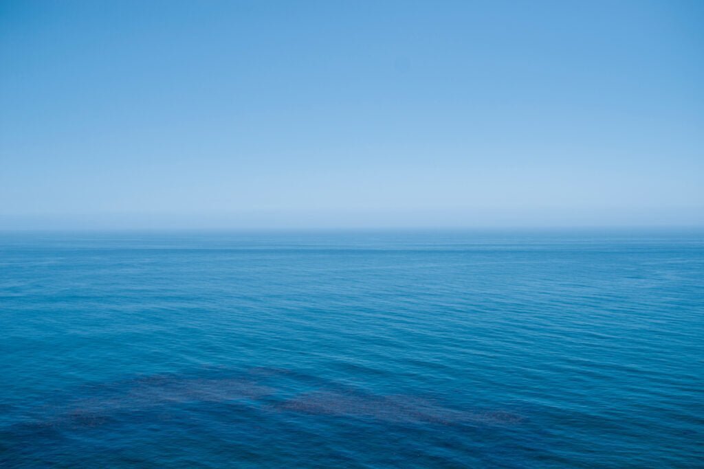 食事に海を取り入れる『神宝塩』 - えんらいと